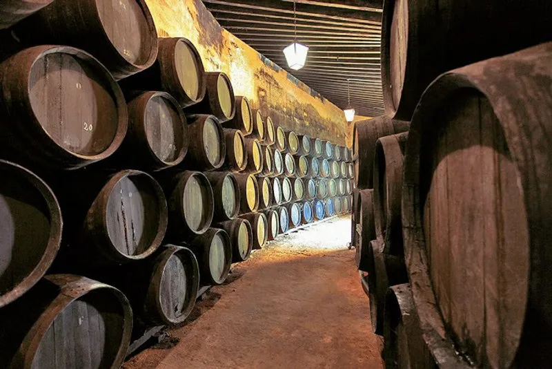 Bodegas Fernando de Castilla