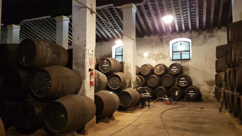 Bodegas Cayetano del Pino. Vinos de Jerez. D.O. Jerez - Xérès - Sherry