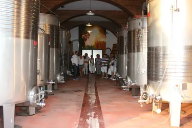 Los 6 bodegas de Castellón de la Plana