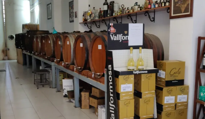 La Bodega de Cal Moix