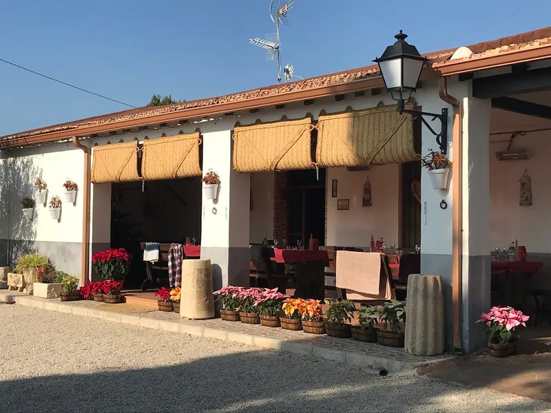 Bodegas Faelo - Enoturismo
