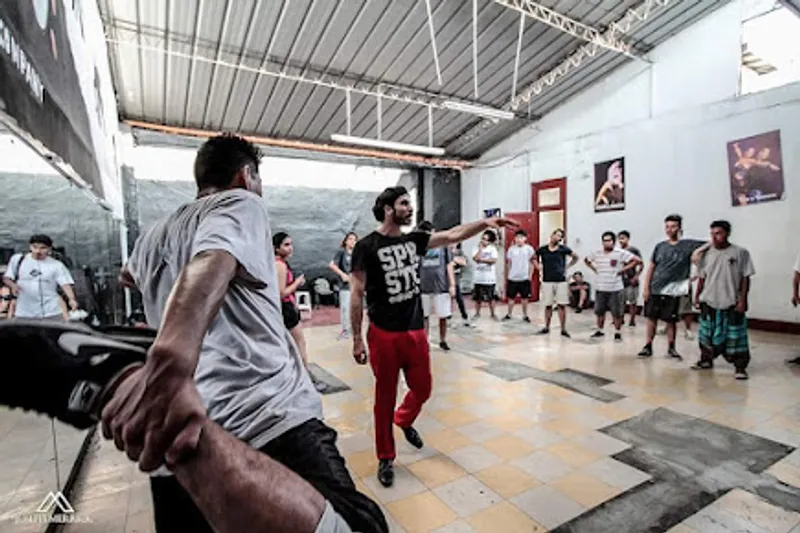 Bailarmas