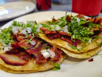 Los 14 tacos de León