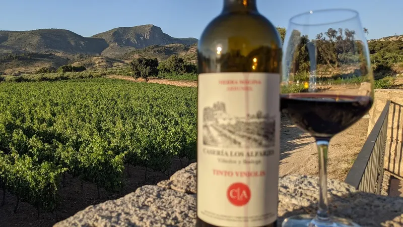 Caseria Los Alfarjes Viñedos Y Bodega