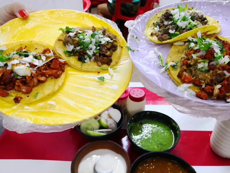 Tacostumbras mid