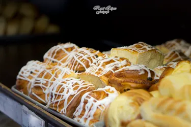 Los mejores 12 Panettones de Mérida