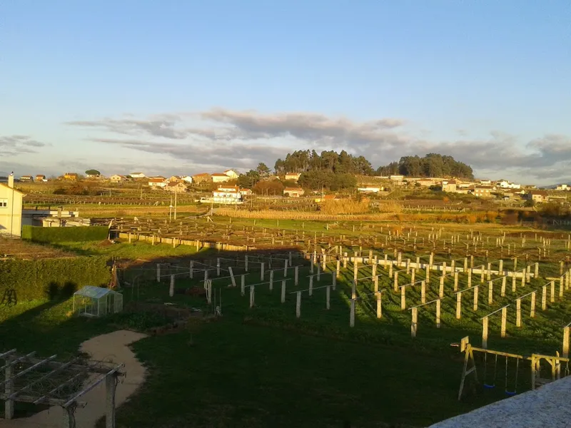 Enoturismo y Bodega Lagar de Costa