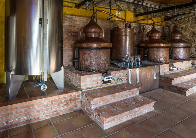 Bodega Quinta Couselo
