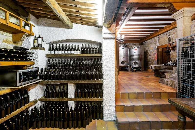 Bodega Anadigna