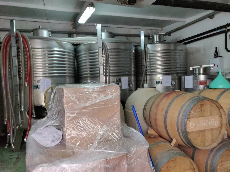 Bodegas Albamar