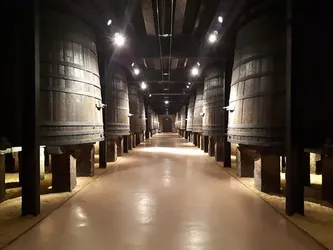 Los 14 bodegas de Logroño