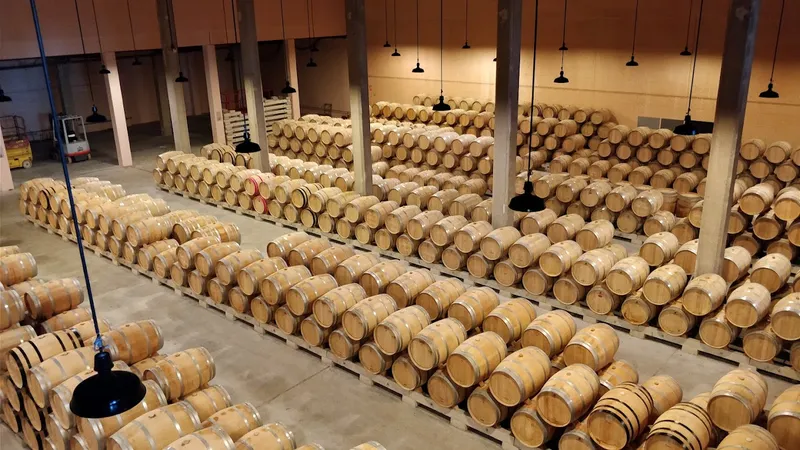 Bodegas y Viñedos del Marqués de Vargas