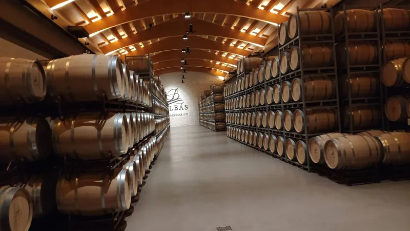 Bodegas Balbás - Ribera del Duero