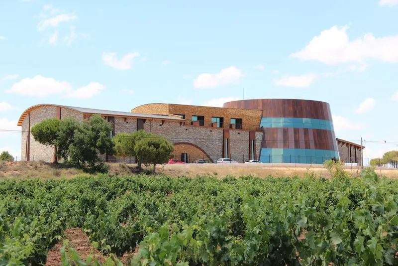 Dominio de Cair S.L.- Ribera del Duero