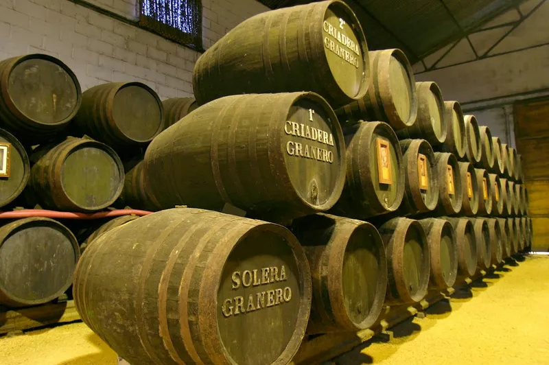 Bodega Manuel Aragón S.L.