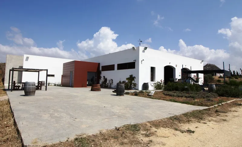 Sancha Pérez Bodega Almazara