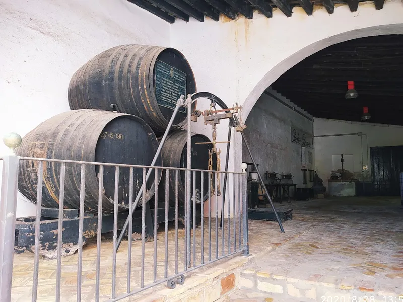 BODEGAS ALONSO