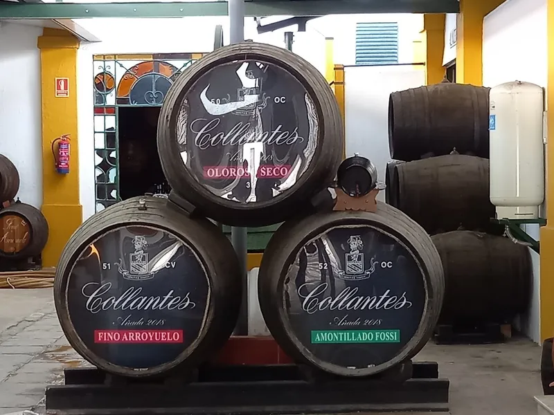 Bodegas Primitivo Collantes