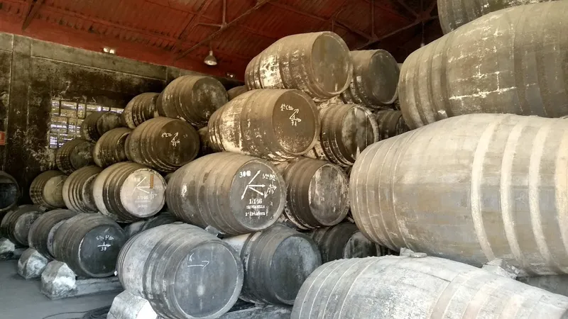 Bodegas del Rio e hijos