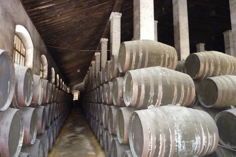 Bodegas Hidalgo - La Gitana