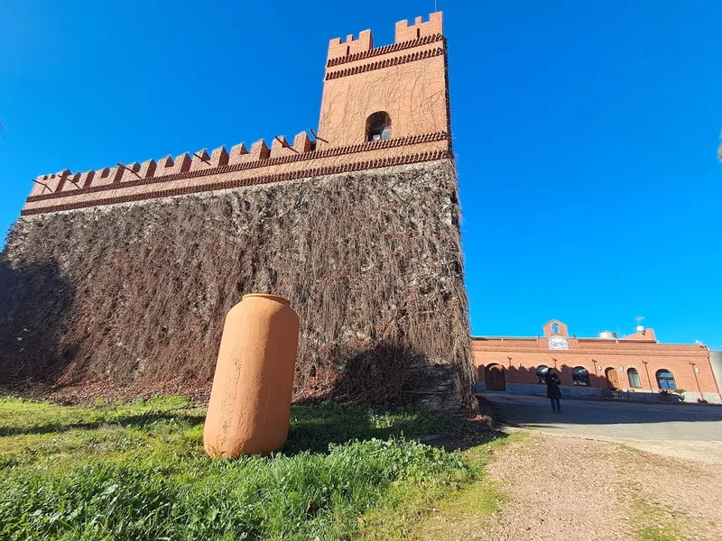 Coloma Viñedos y Bodegas slu