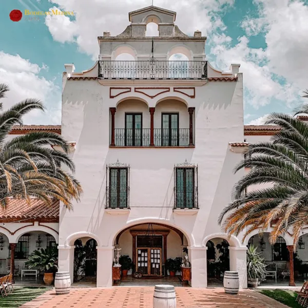 Bodegas Medina · Enoturismo y celebración de eventos
