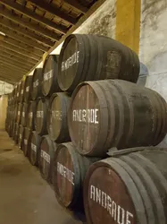 Los 7 bodegas de Huelva