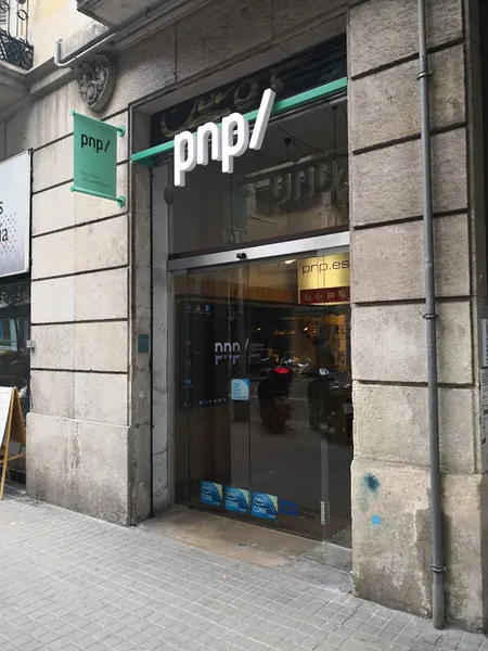 PNP informàtica