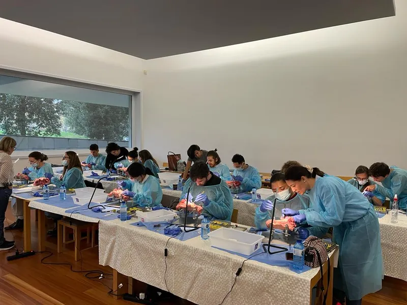 Clínica Dental La Casilla