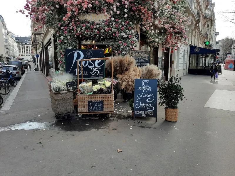 Paris Institut