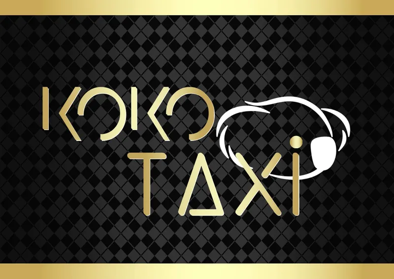 Koko Taxi Chalon Sur Saône