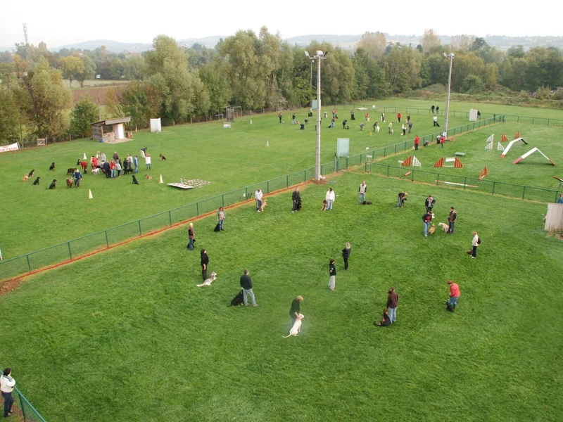 Éducation Sports Canins Macônnais