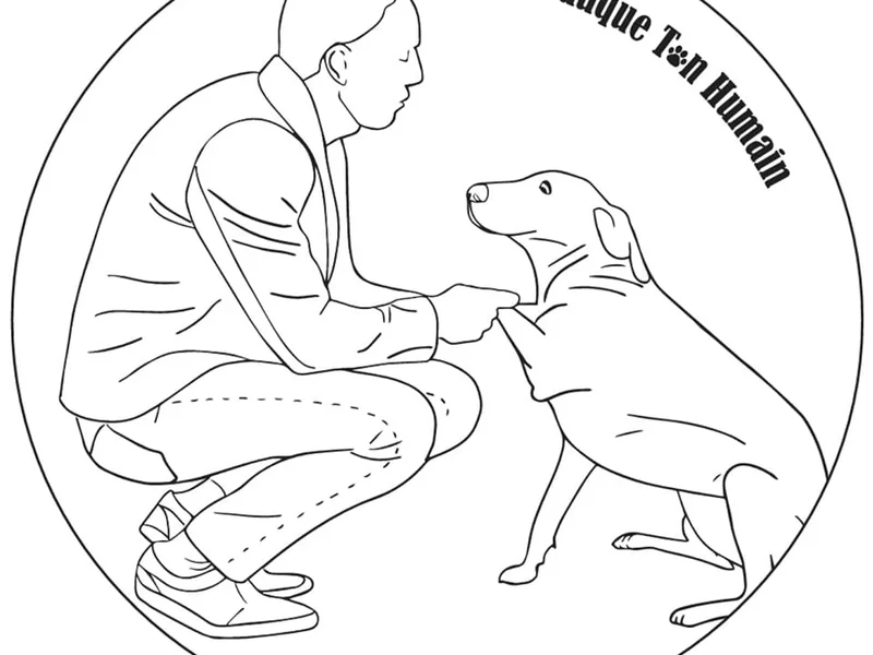 Eduque ton humain - Éducateur de chiens et de leurs humains - Petsitter - Pension canine