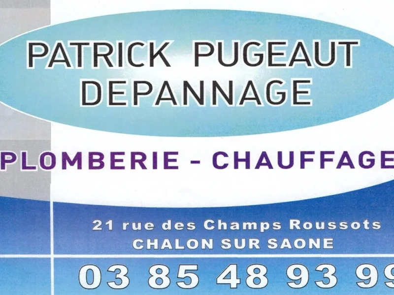 Patrick Pugeaut Depannage