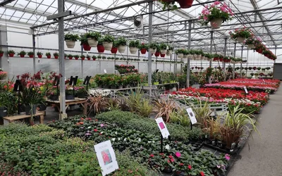 Les 10 jardinage de Paray-le-Monial Saône-et-Loire