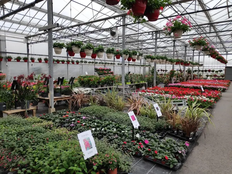 LES SERRES DES CORDELIERS (EARL HORTICOLE DES CORDELIERS)