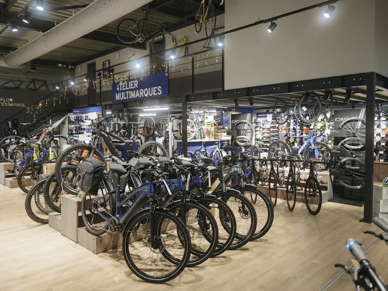 Giant Chalon Sur Saône