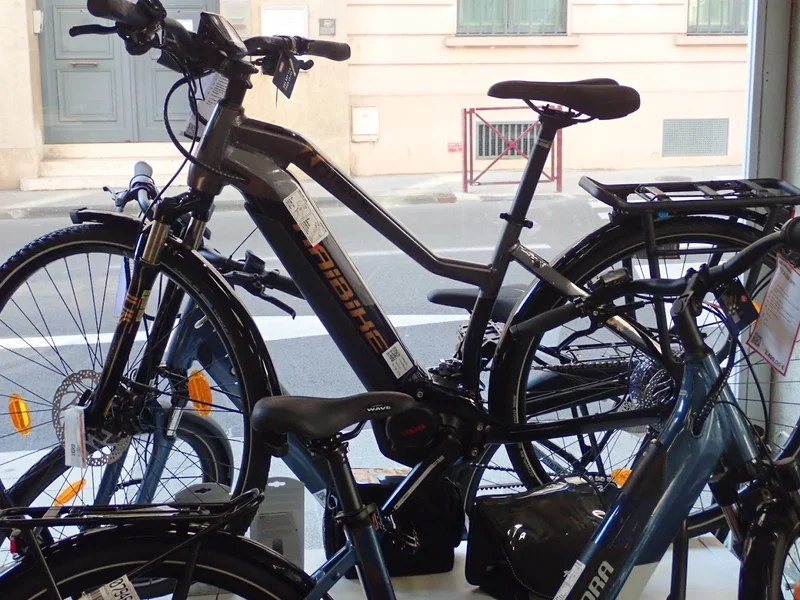 EBIKE71 GAMBETTA