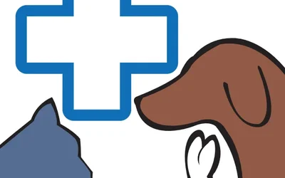 Les 16 vétérinaires de Saône-et-Loire