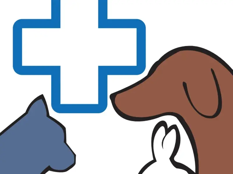 Clinique vétérinaire Vétélios