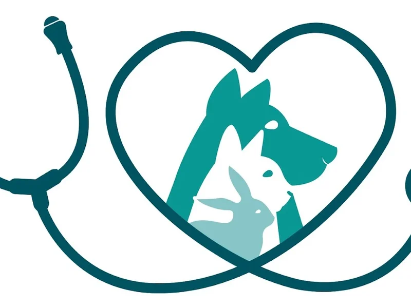 Cabinet vétérinaire de Saint Rémy