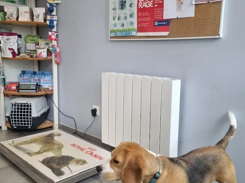 Cabinet Vétérinaire du Dr Nathalie Pirard