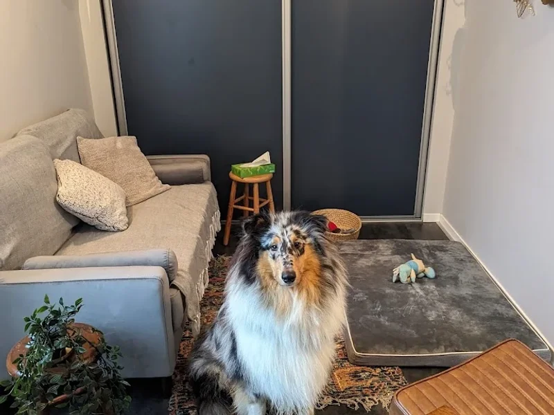 Angélique Dyon Psychologue Zoothérapeute