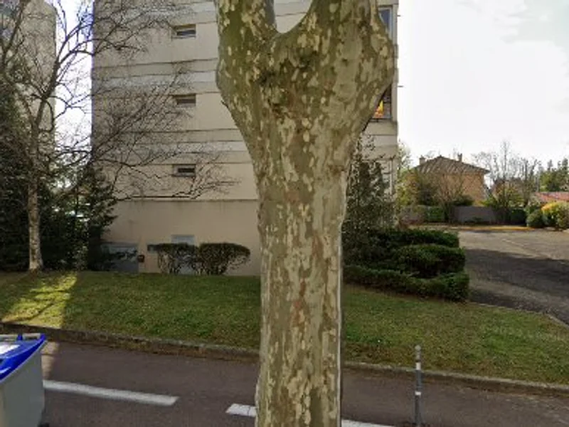 Anne-Marie Aznar - Hypnose et psychothérapie MACON