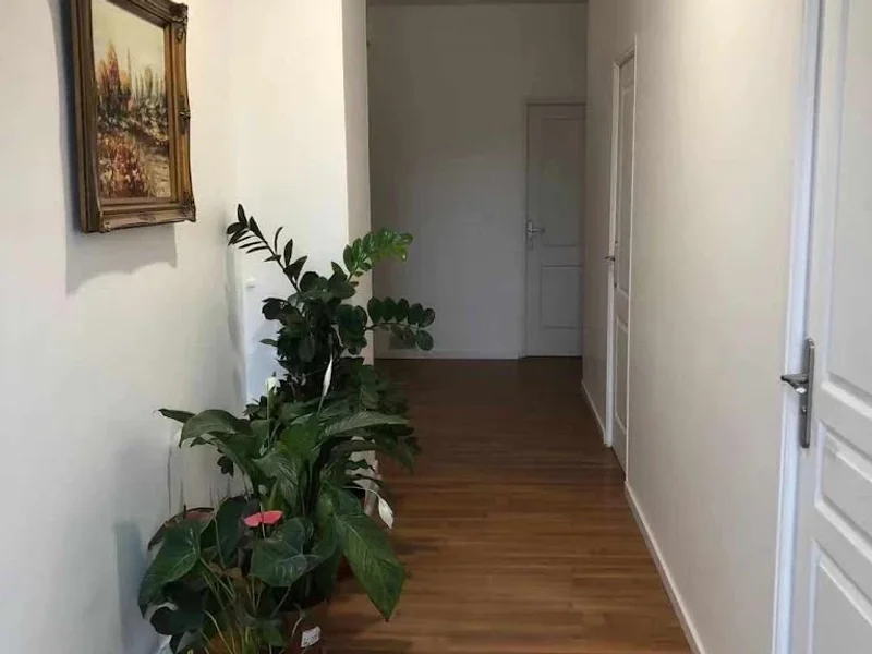 Zen Nature salon massage 71100 Chalon