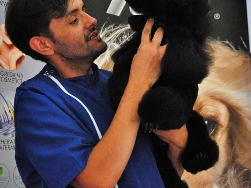 M and C Signature Toilettage Mâcon