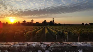 Les 16 caves à vin de Saône-et-Loire