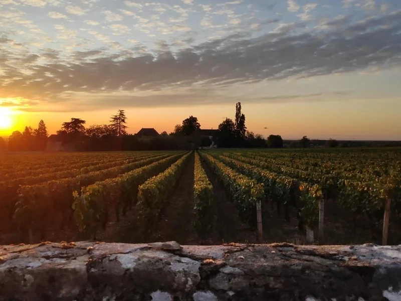 Caveau des Vignerons de Buxy / La Maison Millebuis