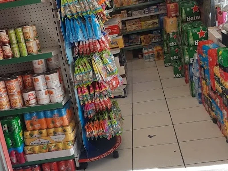 Proxy epicerie creusot du roi