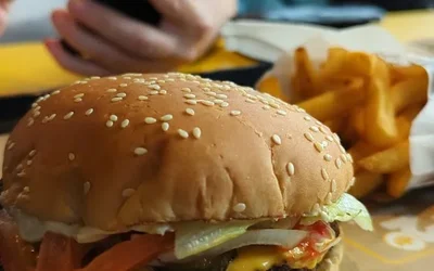 Les 15 burgers de Saône-et-Loire